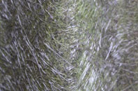 Welland Stone fibreglass roof work